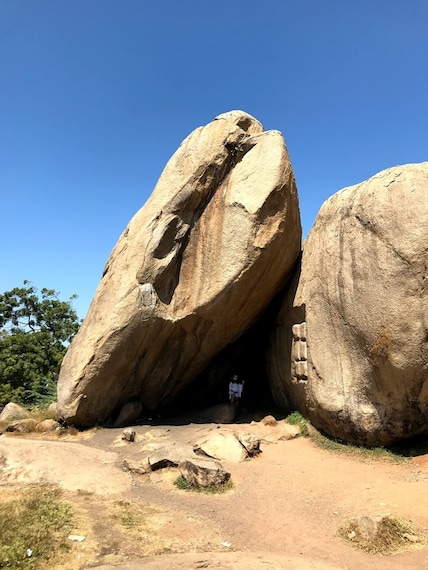 Krishna_s Butterball-2